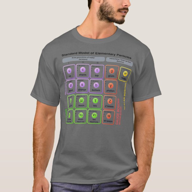 Physics  Standard Model of Elementary Particles T Shirt (Framsida)