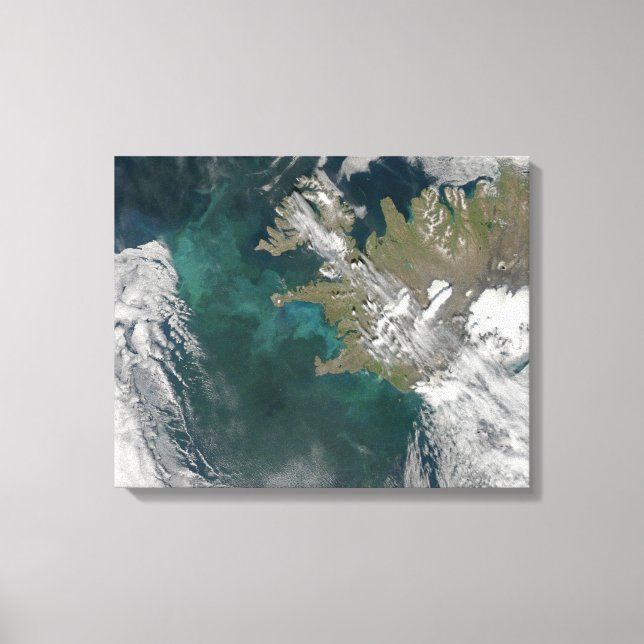Phytoplankton-blomman i Nordatlanten Canvastryck (Framsida)