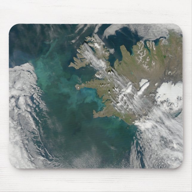 Phytoplankton-blomman i Nordatlanten Musmatta (Framsidan)