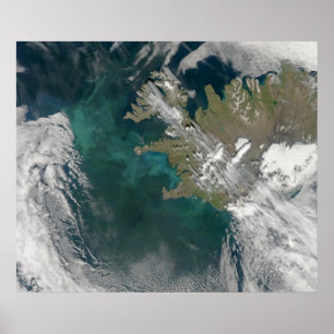 Phytoplankton-blomman i Nordatlanten Poster