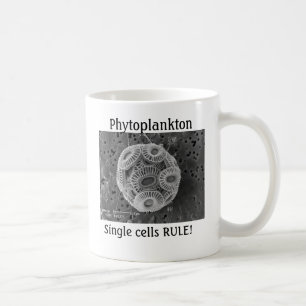 Phytoplanktonen singelceller HÄRSKAR! Kaffemugg