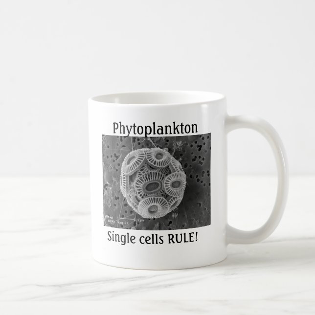 Phytoplanktonen singelceller HÄRSKAR! Kaffemugg (Höger)