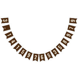 Pi 3.14 Bunting Banner Vimplar