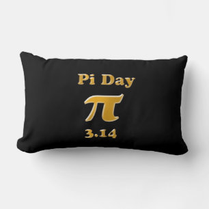 Pi Day Lumbarkudde