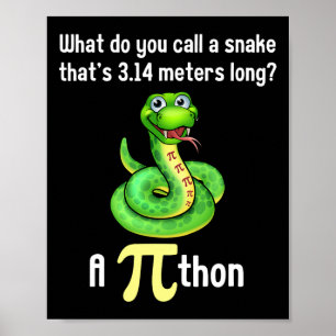 Pi Day Puns Pithon Math Teacher Kvinnor Poster