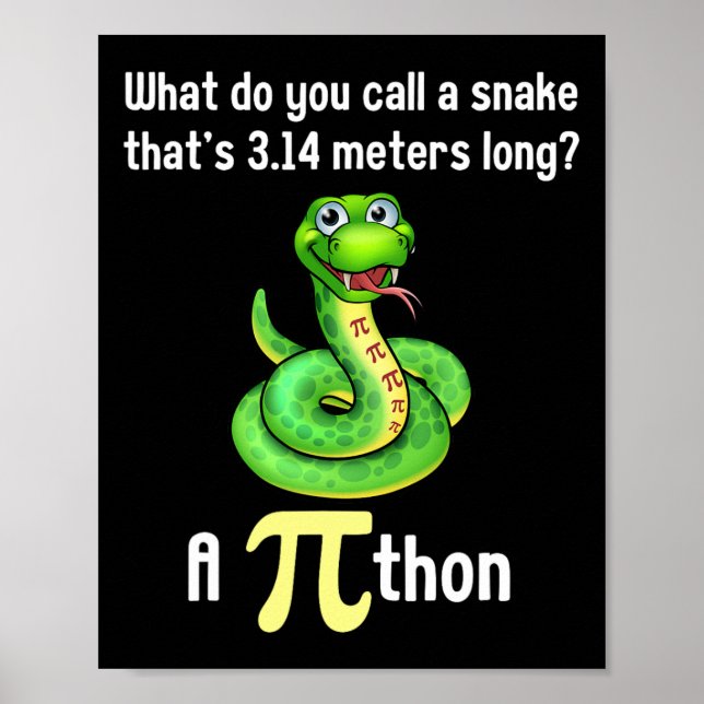 Pi Day Puns Pithon Math Teacher Kvinnor Poster (Framsidan)