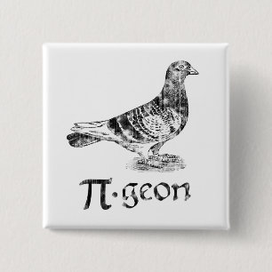 PI-geon Knapp
