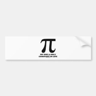 Pi min och endast konstant i liv (Mathhumorn) Bildekal