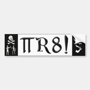 PI R8 - PIRATEN STAVADE GEEKEN LÅNGT BILDEKAL