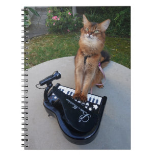 Piano Cat, Funny Somali Cat Musician Spelar Piano Anteckningsbok