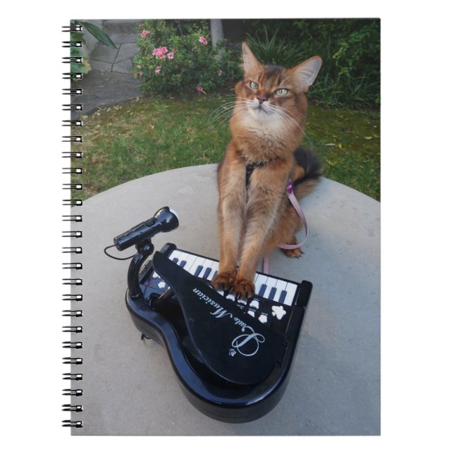 Piano Cat, Funny Somali Cat Musician Spelar Piano Anteckningsbok (Framsidan)