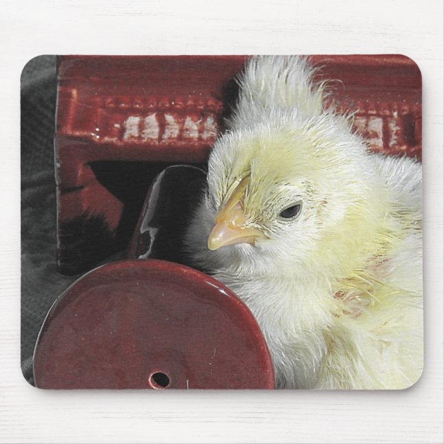 Piano Chick Vintage - titta på foto Musmatta (Framsidan)