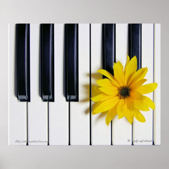 Piano Flower Poster (Framsidan)