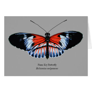 Piano Nyckel Butterfly Painting in Black, Red, Whi Hälsningskort
