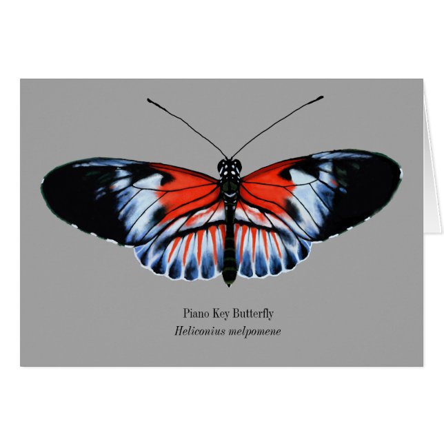 Piano Nyckel Butterfly Painting in Black, Red, Whi Hälsningskort (Framsidan Horizontal)