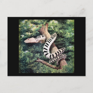 Piano Snake Vykort