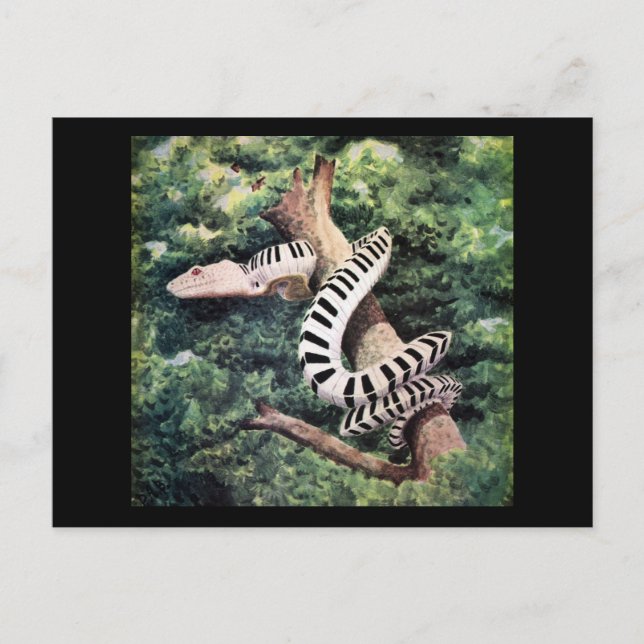 Piano Snake Vykort (Framsida)