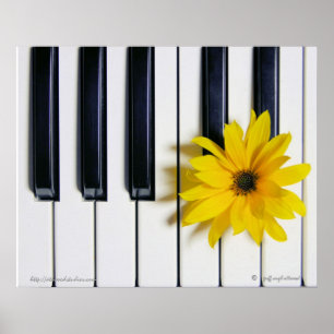 Pianoblomma Poster