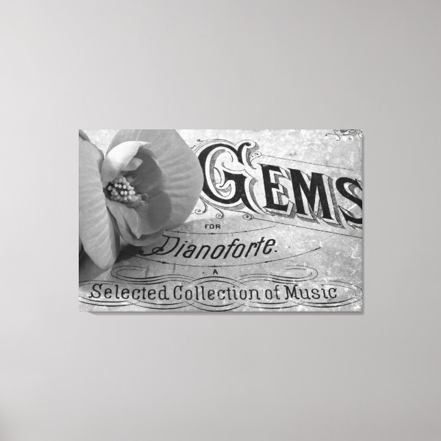 Pianoforte Gems and Begonia Blommar Wrapped Canvas (Framsida)