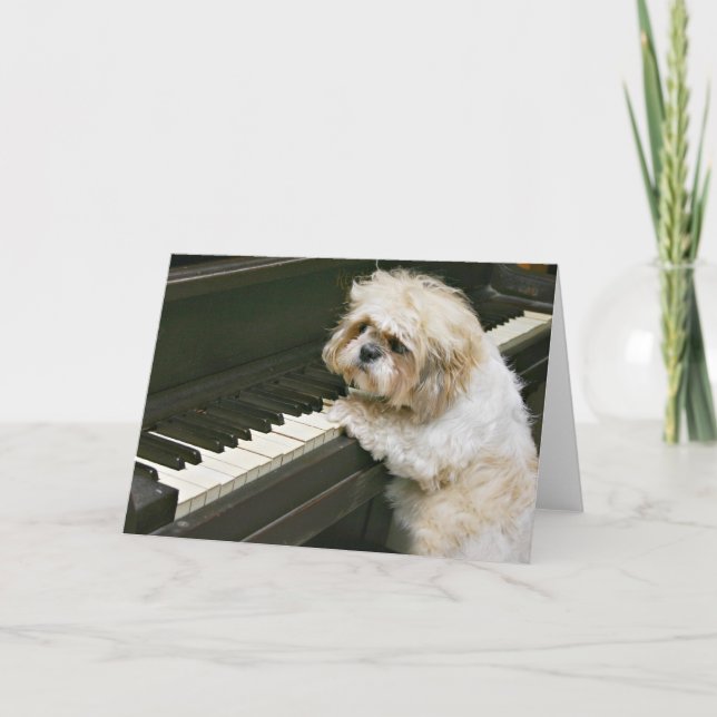 pianospelare kort (Framsida)