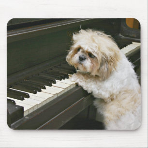 pianospelare musmatta
