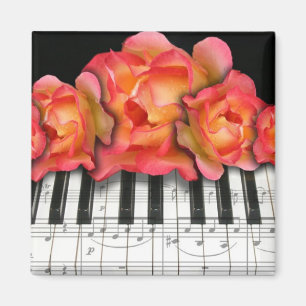 Pianotangentbordro och musik noter magnet