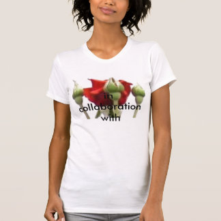 PIC_0010 i samarbete med T-shirt