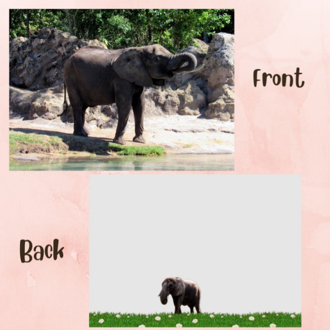 PIC med ett afrikanskt elefantkort (elephant flat card)