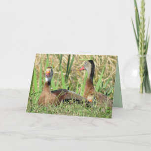 Pic of Black-Belllied Whistling Ankor Birthday Helgkort