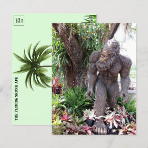 Pic of Florida Skunk Ape Vykort