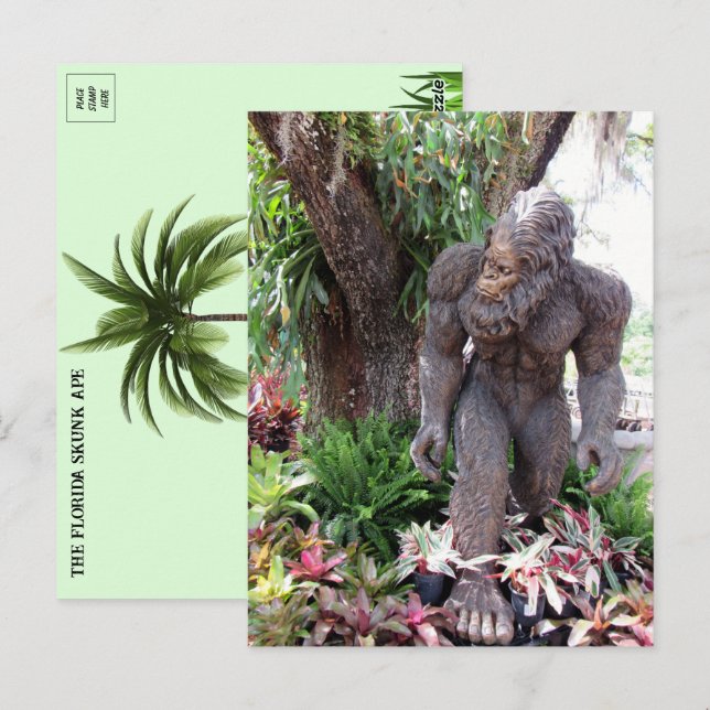 Pic of Florida Skunk Ape Vykort (Fram/baksida)