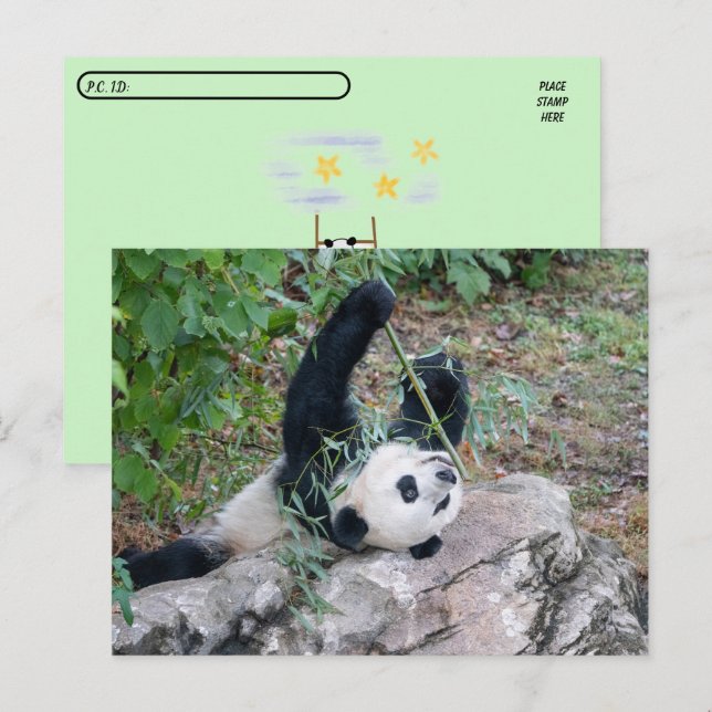 PIC (PIC) VYKORT (Fram/baksida)