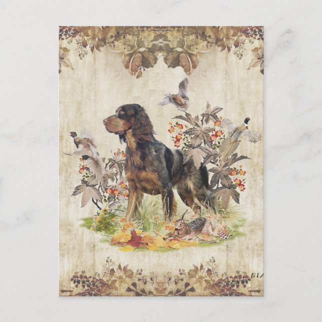 Picardyspaniel, Fågeljakt     Helg Vykort (Framsida)