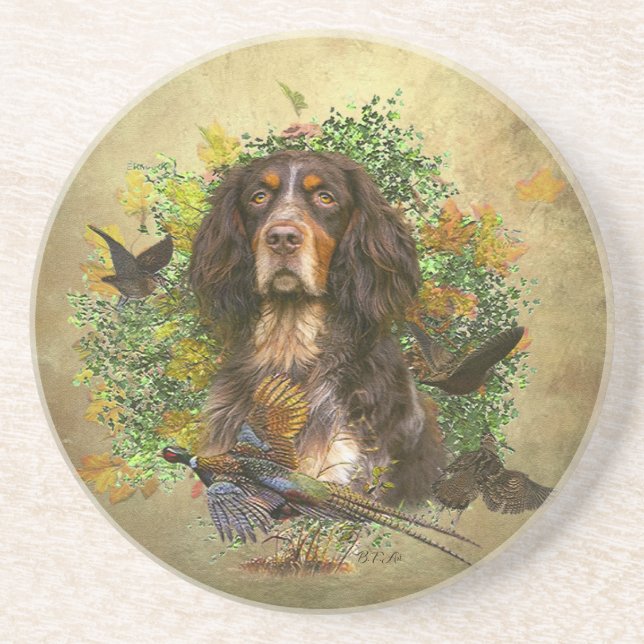 Picardyspaniel, Jaktperiod    Underlägg (Framsidan)