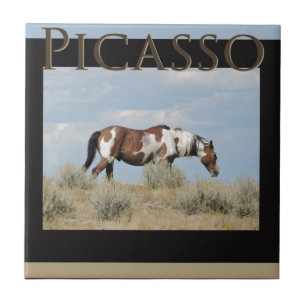 Picasso hingst av Sandtvättstället, Colorado Kakelplatta