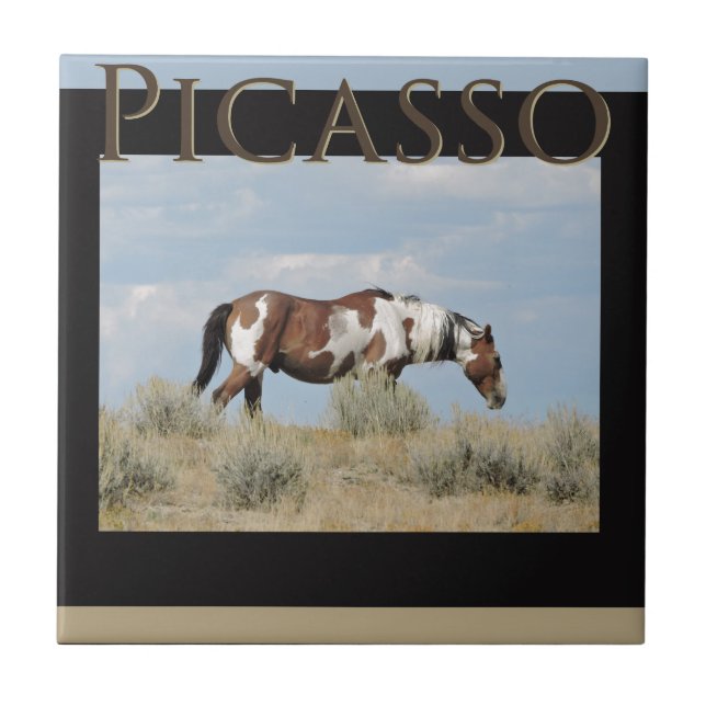 Picasso hingst av Sandtvättstället, Colorado Kakelplatta (Framsidan)