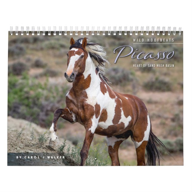 Picasso: Hjärtat of Sand Tvättar Basin Calendar Kalender (Omslag)