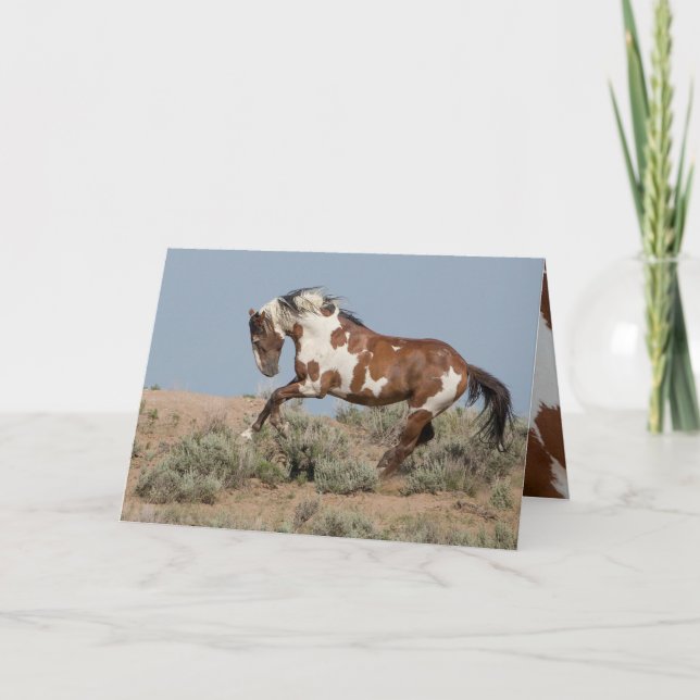 Picasso Leaps Vild Horse Greeting Card Kort (Framsida)