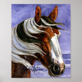 Picasso of Sand Tvätta Basin HMA Poster