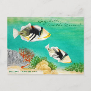 Picasso Trigger Fish Vykort