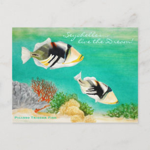 Picasso Trigger Fish Vykort