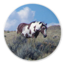 Picasso under en blå himmel