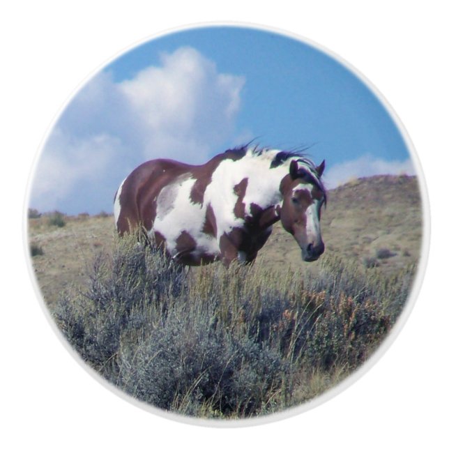 Picasso under en blå himmel knopp (Framsidan)