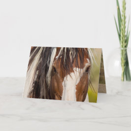 Picassos Ögon Vild Horse Greeting Card Kort