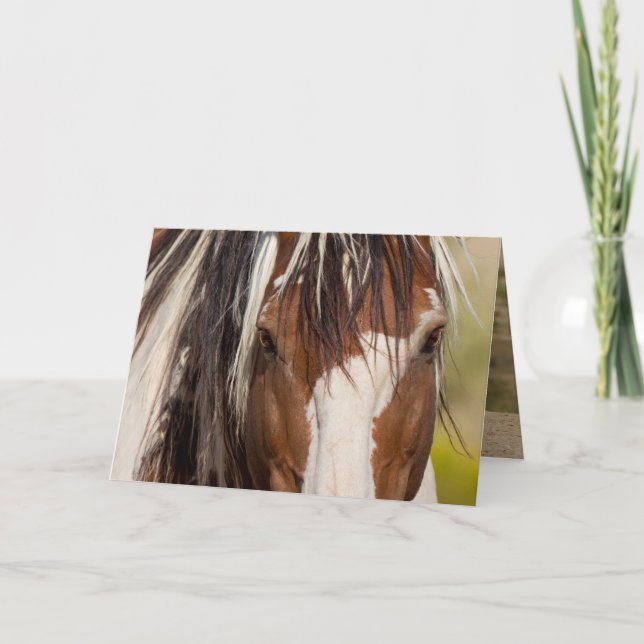 Picassos Ögon Vild Horse Greeting Card Kort (Framsida)