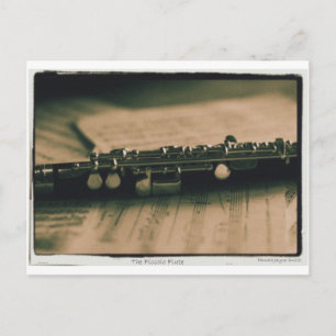 piccolo Flute 1839 Vykort