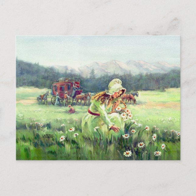 PICERA DAISY MED SHARON SHARPE VYKORT (Framsida)