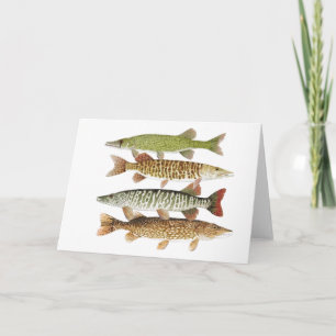 Pickerel, Muskies & Pike Kort