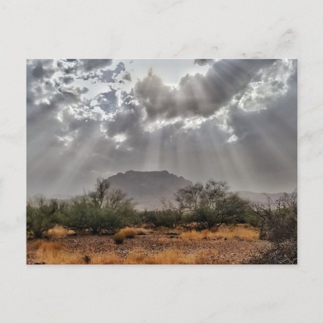 Picketpost Mountain med solstrålning Vykort (Framsida)