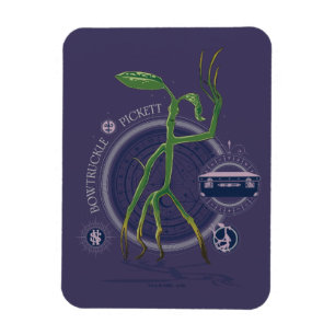 PICKETT™-grafikkortet BOWTRUCKLE™ Magnet